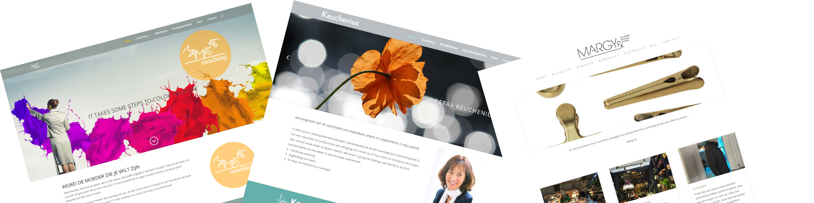 websites cursus wordpress