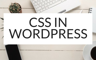CSS IN WORDPRESS