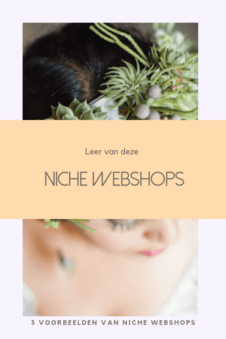 niche webshops