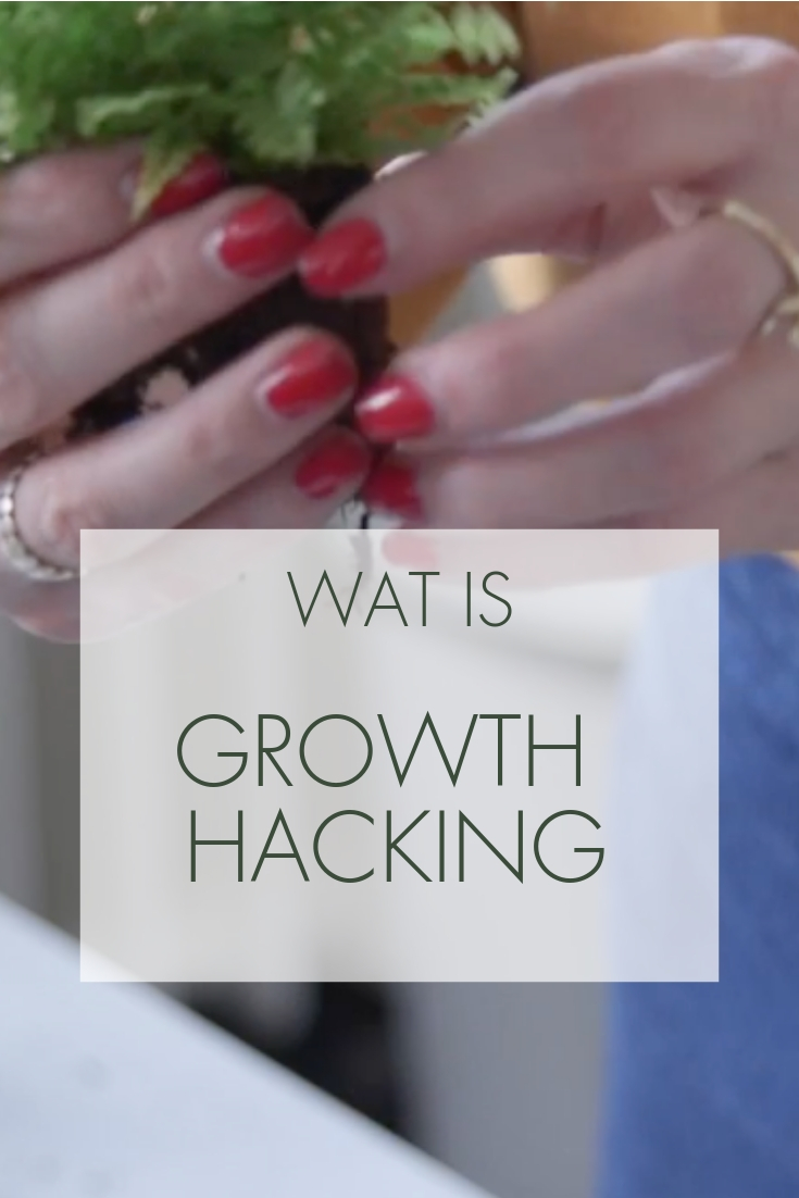 wat is growth hacking