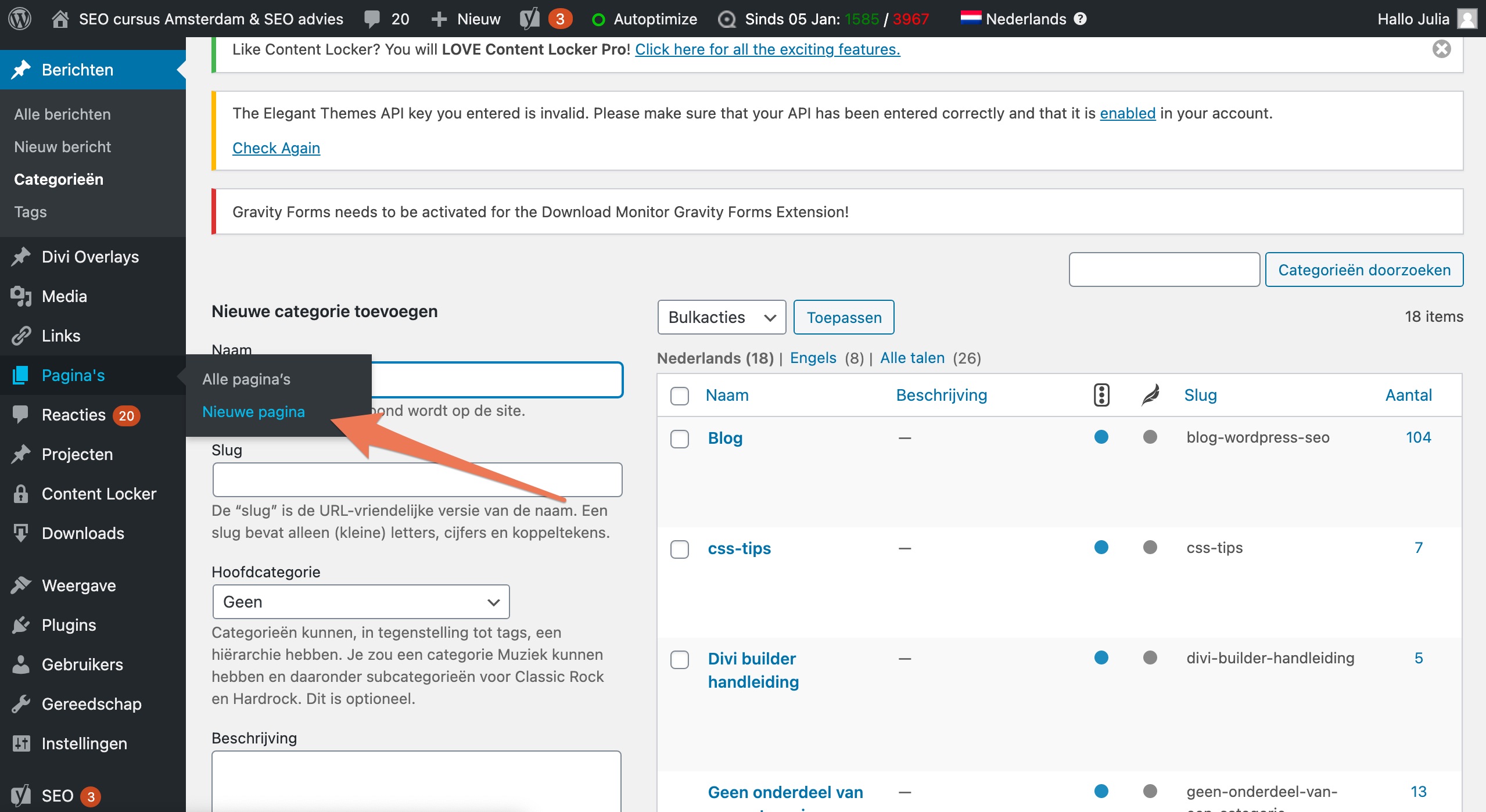 divi blog overzicht maken 3 divi blog overzicht maken