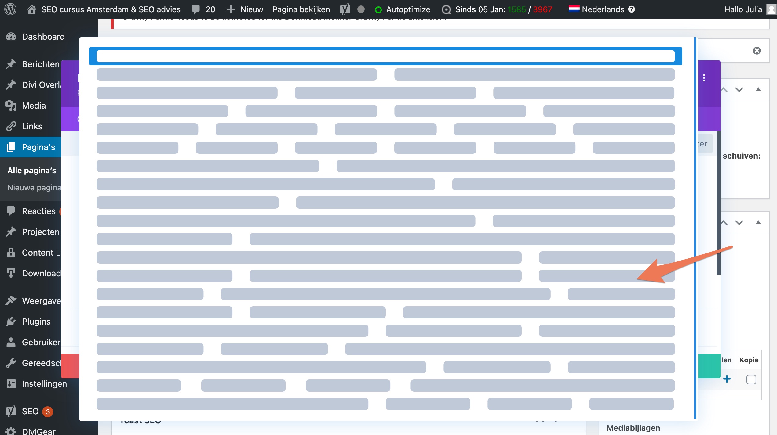 divi blog overzicht maken-8 divi blog overzicht maken